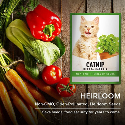Qualtivate TLX-118 Catnip Seeds (Nepeta cataria) Seed(1000 per packet)