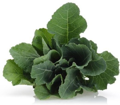 CYBEXIS CURLY KALE SEEDS2000 Seeds Seed(2000 per packet)