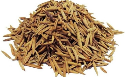 ANDARISTORE INDRAJAU | INDERJO | INDERJAU TALKH | HOLARRHENA PUBESCENS Seed(50 per packet)