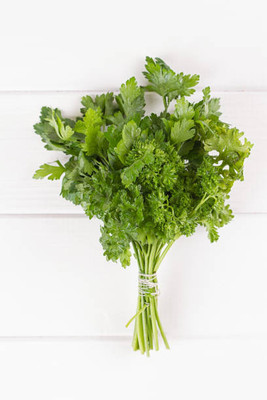EKAKSHAR CORIANDER Seed(40 per packet)