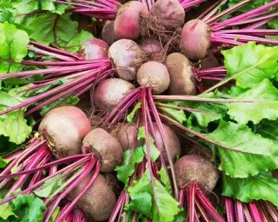 Aro Beetroot Seed(45 per packet)