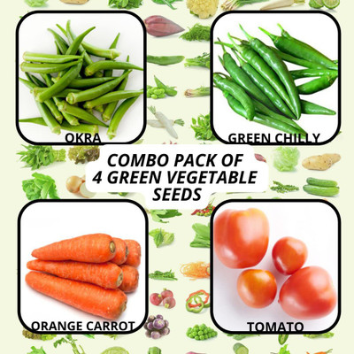 CYBEXIS OKRA,GREEN CHILLY,ORANGE CARROT & TOMATO Seed(10 g)