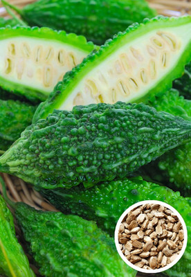 CRGO KARELA , BITTERGOURD Seed(45 per packet)