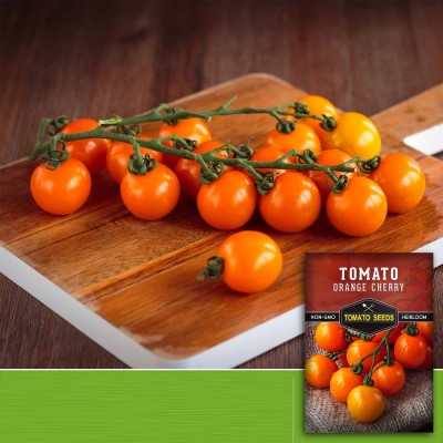 Quentova Orange Cherry Tomato 2.5gm Seeds Seed(1000 per packet)