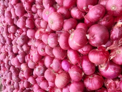 Qualtivate FXL-5AT F1 Hybrid Onion Red Nashik Seed(500 per packet)