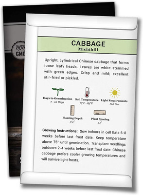 WILLVINE ® Michihili Napa Cabbage Seeds Seed(5000 per packet)
