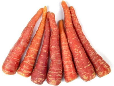 Aywal Non-GMO Carrot Seeds For Vegetable Garden Seed(700 per packet)