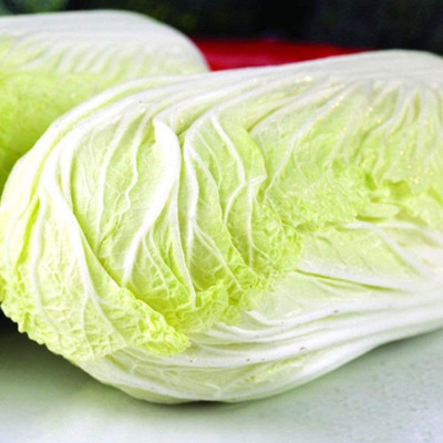 CYBEXIS Garden Plant Chinese Cabbage Seeds2000 Seeds Seed(2000 per packet)