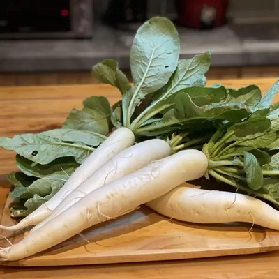 Aro Radish Red, Muli Seed(17 per packet)