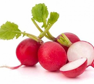 Qausain Radish Red Round Seed(26 per packet)