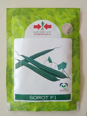 the green dotcom east west international hybrid vegetable sorot ridge guard 10 seeds Seed(10 per packet)
