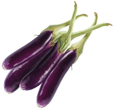 Avysa Brinjal Seed(150 per packet)