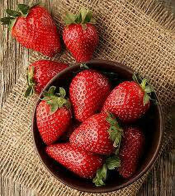 XOLDAA HYBRID STRAWBERRY FRUIT SEEDS Seed(191 per packet)