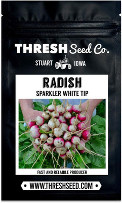 Qualtivate PUA5-A Sparkler White Tip Radish Seed(300 per packet)