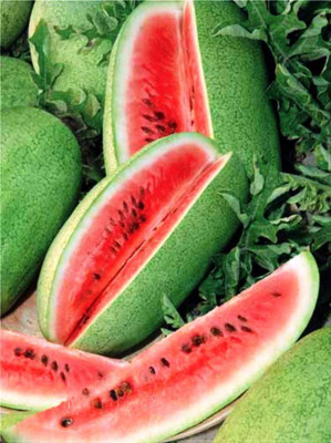 CYBEXIS PAU-79 - Watermelon Charleston Grey Green - (150 Seeds) Seed(150 per packet)