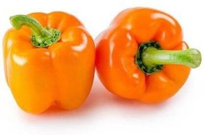 Qualtivate GXL-6AT IMPORTED CAPSICUM ORANGE Seed(100 per packet)
