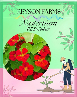 reyson Nasturtium mix flower seeds Seed(25 per packet)