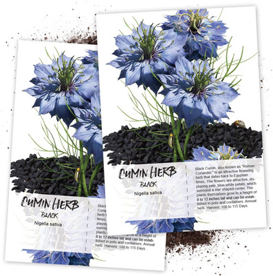 WILLVINE Black Cumin Seed(200 per packet)