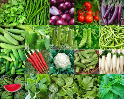 CRGO combo of 20 variety vegetable seeds with instruction manual. Seed(4200 per packet)