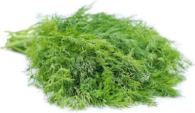 CYBEXIS DILL SEEDS700 Seeds Seed(700 per packet)
