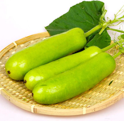 KNESSiN VIC-92 Marrow Squash Zucchini Seed(30 per packet)