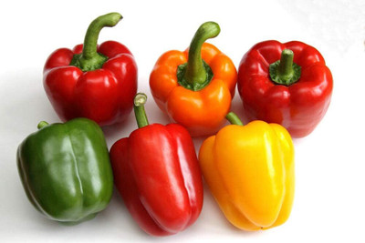Biosnyg Open-Pollinated Multicolored Mix Capsicum Seeds For Gardening-(100 Seeds) Seed(100 per packet)