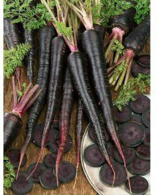 FRESHO Black-Nebula-Carrot Seed(245 per packet)