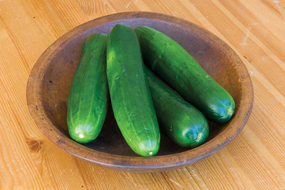 CYBEXIS TLX-41 - Beauty Slicing Cucumber - (150 Seeds) Seed(150 per packet)