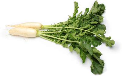 Kodali Hybrid F1 Radish Seeds Pack Of 19 Seed(19 per packet)