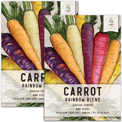 Qualtivate KXL-9AT Rainbow Carrot Seeds Seed(300 per packet)