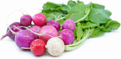 WILLVINE ATS-495 Easter Egg Radish Seeds Seed(500 per packet)