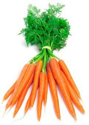 CYBEXIS Doucer Imported Carrot Variety4000 Seeds Seed(4000 per packet)