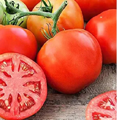 wequality Hybrid Tomato seeds forn home plant Seed(120 per packet)