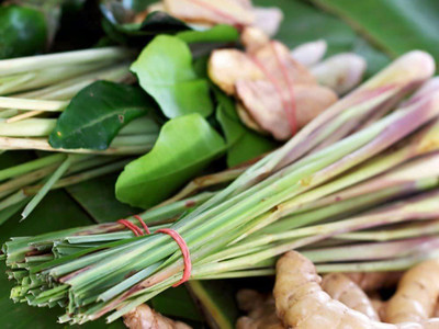 CYBEXIS TLX-41 - Lemon Grass Mosquito Repellent Plant - (750 Seeds) Seed(750 per packet)