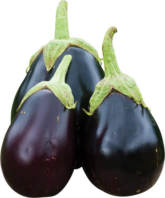 Decon Bengan Seed(150 per packet)