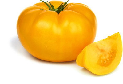 VRAKSHA BRANDYWINE YELLOW Seed(1500 per packet)