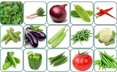 ibains Home garden combo vegetable seeds Seed(110 per packet)