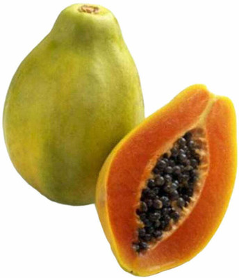 Quentova Papaya Seeds Dwarf Variety-GBPUT-7X Seed(30 per packet)