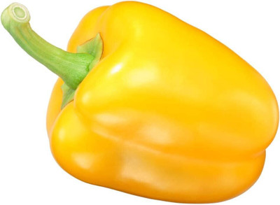 KNESSiN Golden California Wonder Capsicum Seed(1000 per packet)