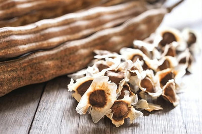 Qualtivate GBPT-1A DRUMSTICK TREE Moringa Oleifera Seeds Seed(50 per packet)