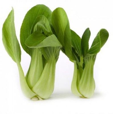 Arshiayat Pakchoi Vegetable Seeds For Home Garden 70 Seeds Seed(70 per packet)