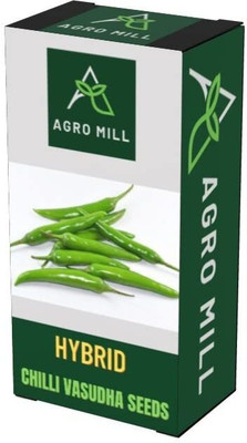 WILLVINE PAU -XIII CHILLI VASUDHA/GREEN CHILLI/HARI MIRCH[25gm, 5000 Seeds] Seed(5000 per packet)