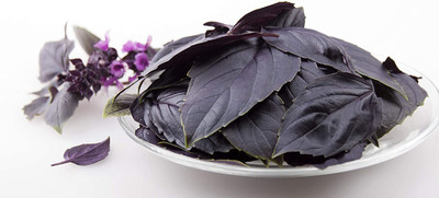 WILLVINE XLL-68 Amethyst Purple Basil Seed(1000 per packet)