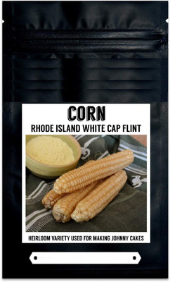 VibeX ® RXI-468 White Cap Flint Corn Seed(500 per packet)