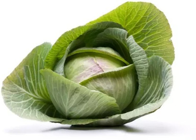 MYLAWN Organic green cabbage Seed(100 per packet)