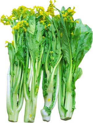 CYBEXIS Broccoli Raab Seeds2000 Seeds Seed(2000 per packet)