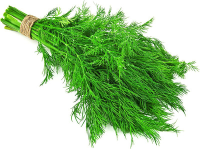 CYBEXIS LX-30 - Dill - (250 Seeds) Seed(250 per packet)