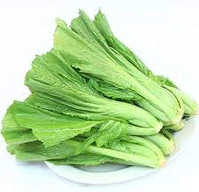 CYBEXIS NBIR-42 - Small Gai Choi Chinese Mustard - (250 Seeds) Seed(250 per packet)