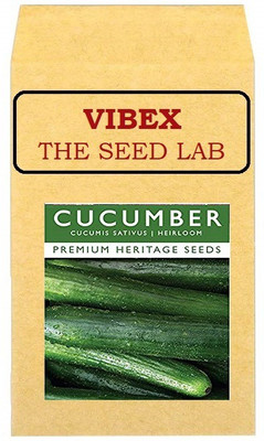 CYBEXIS Cucumber Hybrid Seeds2000 Seeds Seed(2000 per packet)