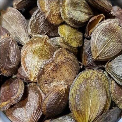KNESSiN Flower Seed(50 per packet)